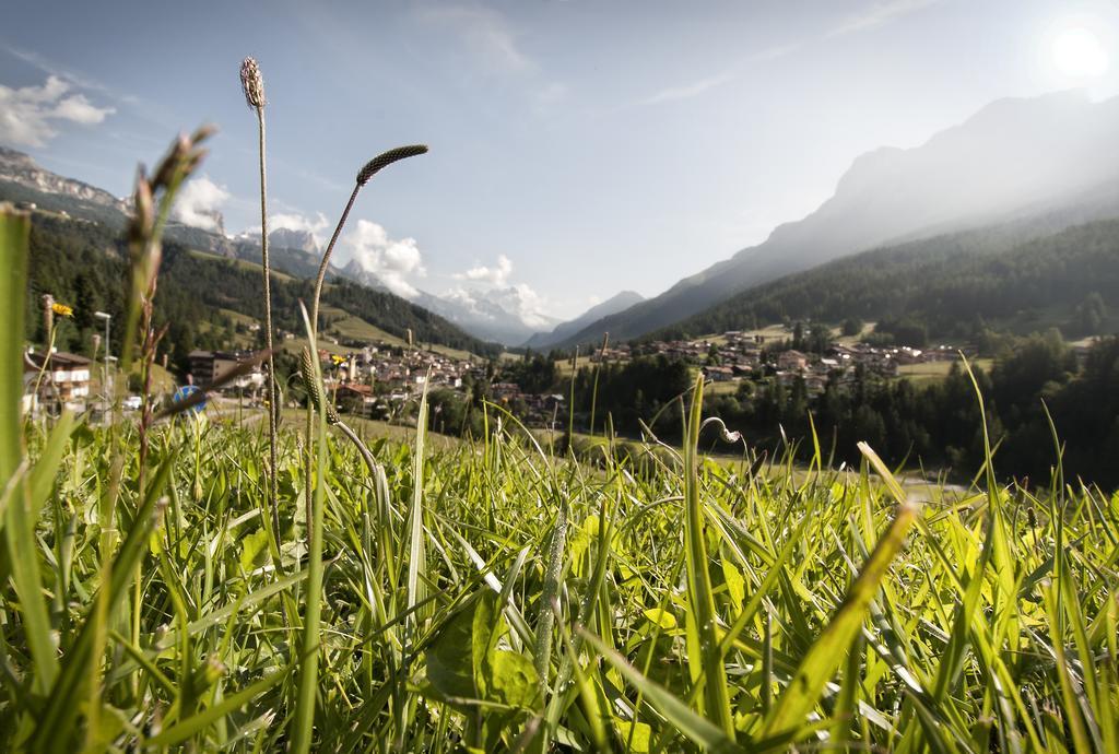 Garnì Aurora Bed&Breakfast Soraga di Fassa Exterior foto